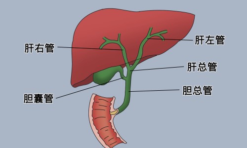 胃不好吃草莓没事吧网 - 网站提供吃草莓有助于消化吗小常识、胃不好能吃草莓吗